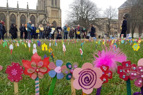 AC College Green flowers