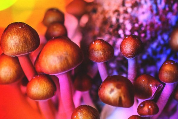 Psychedelic Mushrooms Color 1296x728 Header 1024x575 1