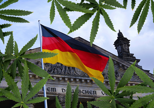 German Cannabis Legalisation: What's Happening? | Transform