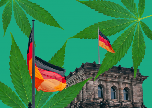 Germany To Regulate Cannabis: A Seismic Shift For Global Reform | Transform