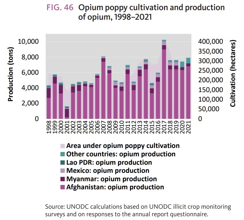 Chart: Afghanistan Poppy Cultivations Down 95 Percent in 2023